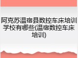 阿克苏温宿县数控车床培训学校有哪些(温宿数控车床培训)