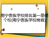 南宁贵族学校排名第一是哪个校(南宁贵族学校榜首)