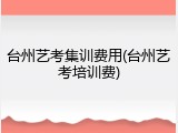 台州艺考集训费用(台州艺考培训费)