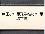 中国少年足球学校(少年足球学校)