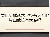 嵩山少林武术学校有大专吗(嵩山武校有大专吗)