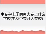 中专学电子商务大专上什么学校(电商中专升大专校)