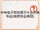 中专电子商务属于什么大类专业(电商专业类别)