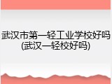武汉市第一轻工业学校好吗(武汉一轻校好吗)