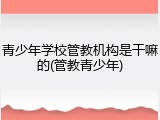 青少年学校管教机构是干嘛的(管教青少年)