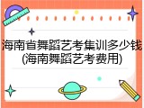 海南省舞蹈艺考集训多少钱(海南舞蹈艺考费用)