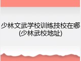 少林文武学校训练技校在哪(少林武校地址)