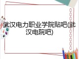 武汉电力职业学院贴吧(武汉电院吧)