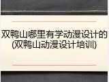 双鸭山哪里有学动漫设计的(双鸭山动漫设计培训)