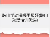 鞍山学动漫哪里最好(鞍山动漫培训优选)