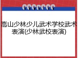 嵩山少林少儿武术学校武术表演(少林武校表演)