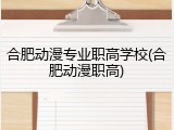 合肥动漫专业职高学校(合肥动漫职高)