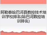 阿勒泰哈巴河县数控技术培训学校排名(哈巴河数控培训排名)