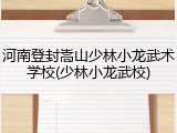 河南登封嵩山少林小龙武术学校(少林小龙武校)