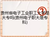 贵州省电子工业职工大学是大专吗(贵州电子职大是专科)