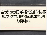 白城镇赉县单招培训学校正规学校有那些(镇赉单招培训学校)