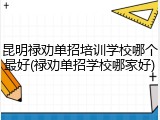 昆明禄劝单招培训学校哪个最好(禄劝单招学校哪家好)