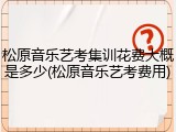 松原音乐艺考集训花费大概是多少(松原音乐艺考费用)