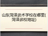 山东菏泽武术学校在哪里(菏泽武校地址)