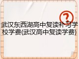 武汉东西湖高中复读补习学校学费(武汉高中复读学费)