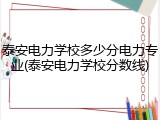 泰安电力学校多少分电力专业(泰安电力学校分数线)