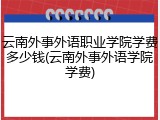 云南外事外语职业学院学费多少钱(云南外事外语学院学费)