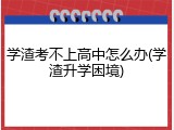 学渣考不上高中怎么办(学渣升学困境)
