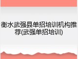 衡水武强县单招培训机构推荐(武强单招培训)