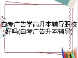 自考广告学高升本辅导职校好吗(自考广告升本辅导)