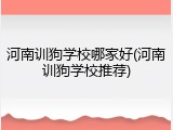 河南训狗学校哪家好(河南训狗学校推荐)