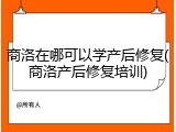 商洛在哪可以学产后修复(商洛产后修复培训)