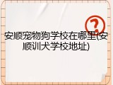安顺宠物狗学校在哪里(安顺训犬学校地址)