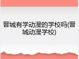 晋城有学动漫的学校吗(晋城动漫学校)