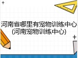河南省哪里有宠物训练中心(河南宠物训练中心)