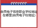自贡电子信息职业学校地址在哪里(自贡电子校地址)