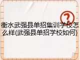 衡水武强县单招集训学校怎么样(武强县单招学校如何)