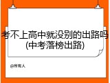 考不上高中就没别的出路吗(中考落榜出路)