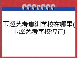 玉溪艺考集训学校在哪里(玉溪艺考学校位置)