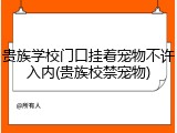 贵族学校门口挂着宠物不许入内(贵族校禁宠物)