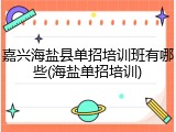 嘉兴海盐县单招培训班有哪些(海盐单招培训)