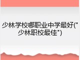 少林学校哪职业中学最好("少林职校最佳")