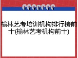 榆林艺考培训机构排行榜前十(榆林艺考机构前十)