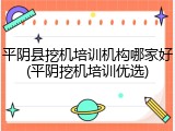 平阴县挖机培训机构哪家好(平阴挖机培训优选)