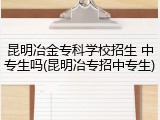 昆明冶金专科学校招生 中专生吗(昆明冶专招中专生)
