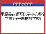 平原县在哪可以学挖机哪个学校好(平原挖机学校)