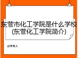 东营市化工学院是什么学校(东营化工学院简介)