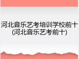 河北音乐艺考培训学校前十(河北音乐艺考前十)