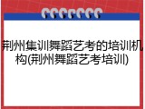 荆州集训舞蹈艺考的培训机构(荆州舞蹈艺考培训)