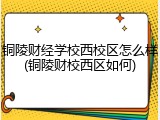 铜陵财经学校西校区怎么样(铜陵财校西区如何)