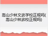 嵩山少林文武学校正规吗(嵩山少林武校正规吗)